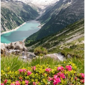 Le Tyrol (Autriche), berceau de la Tomme aux Fleurs